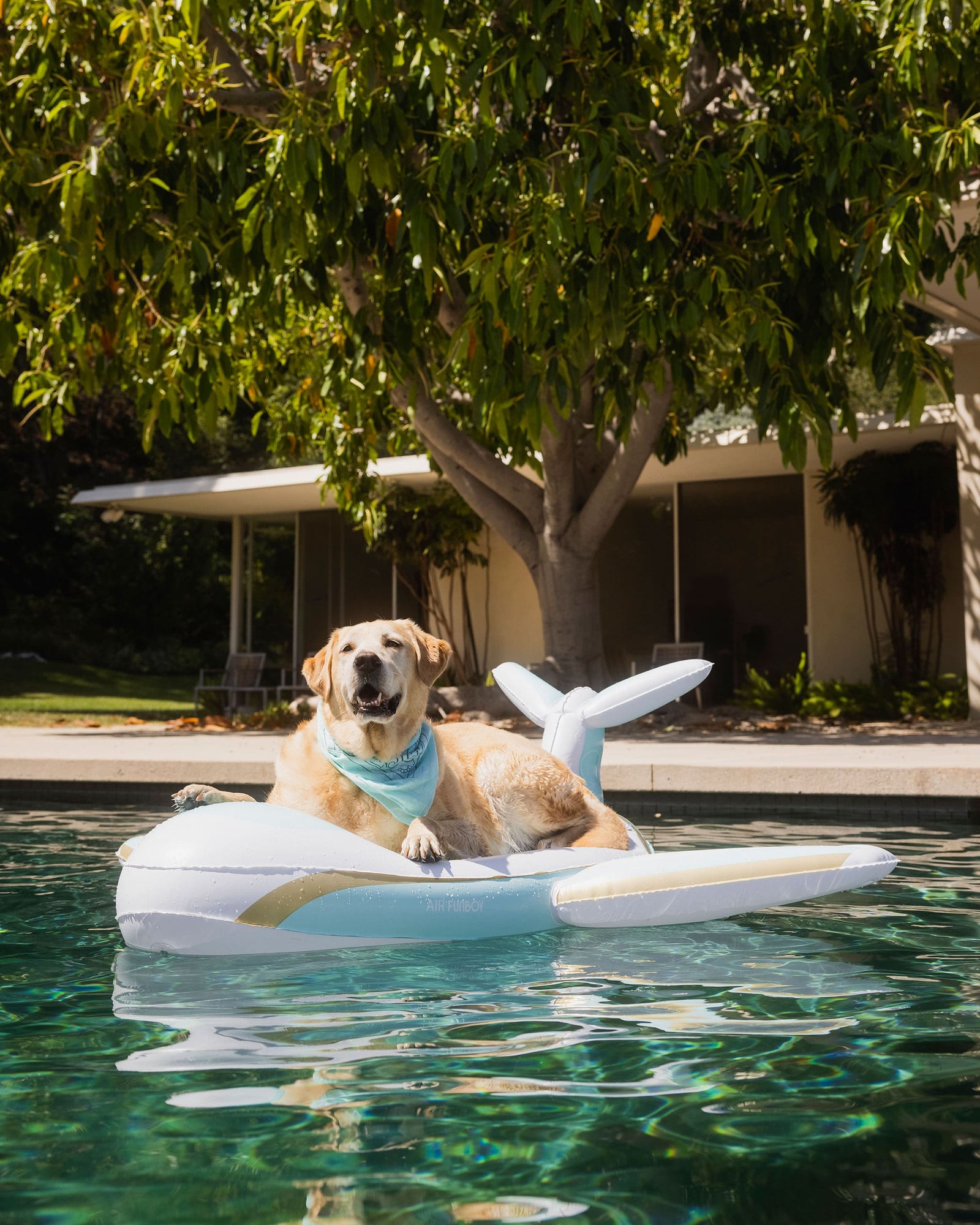 FUNBOY x Bark Private Jet Dog Float