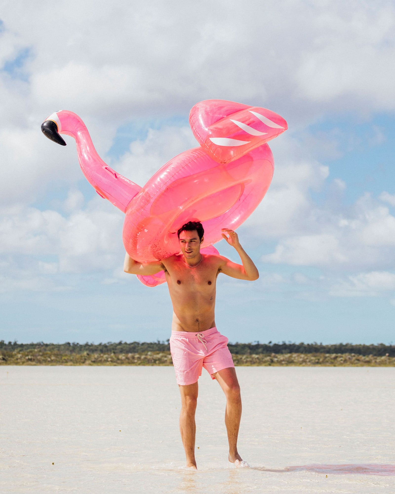 Flamingo Pool Float