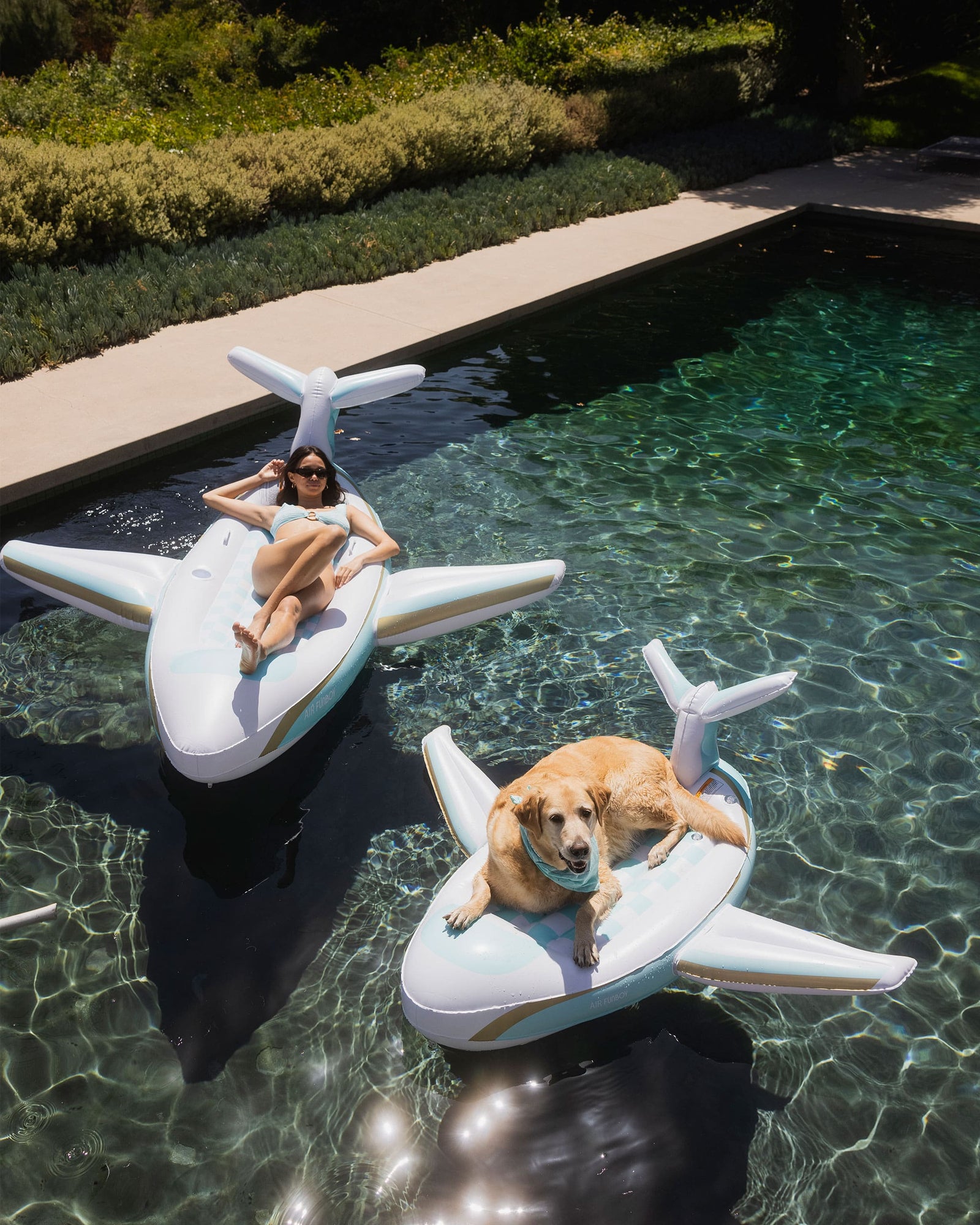 FUNBOY x Bark Private Jet Dog Float