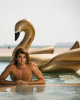 Swan Pool Float
