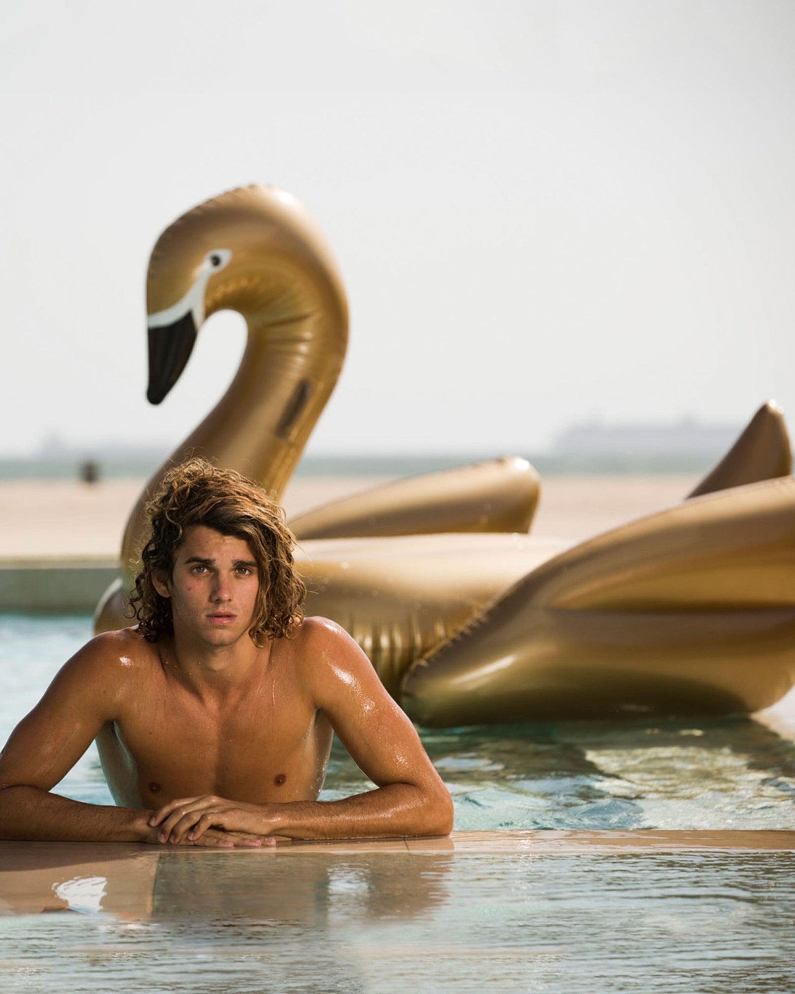 Swan Pool Float