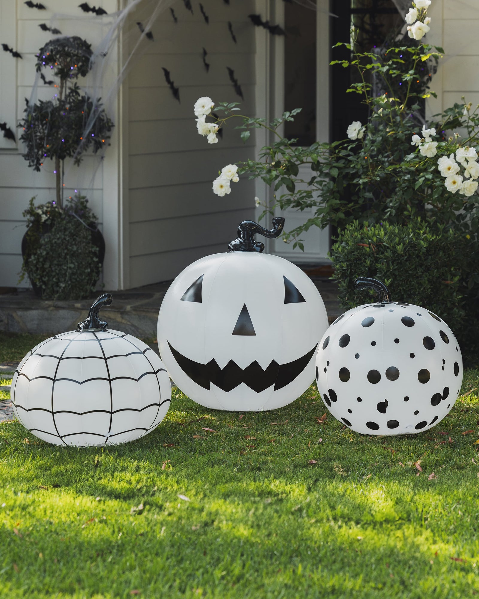 Halloween Pumpkin Decor