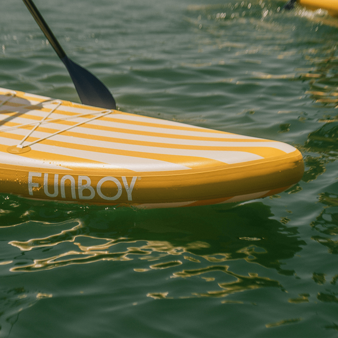 Stand Up Paddle Board