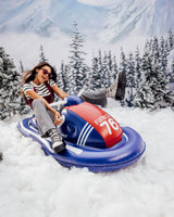Snowmobile Snow Sled