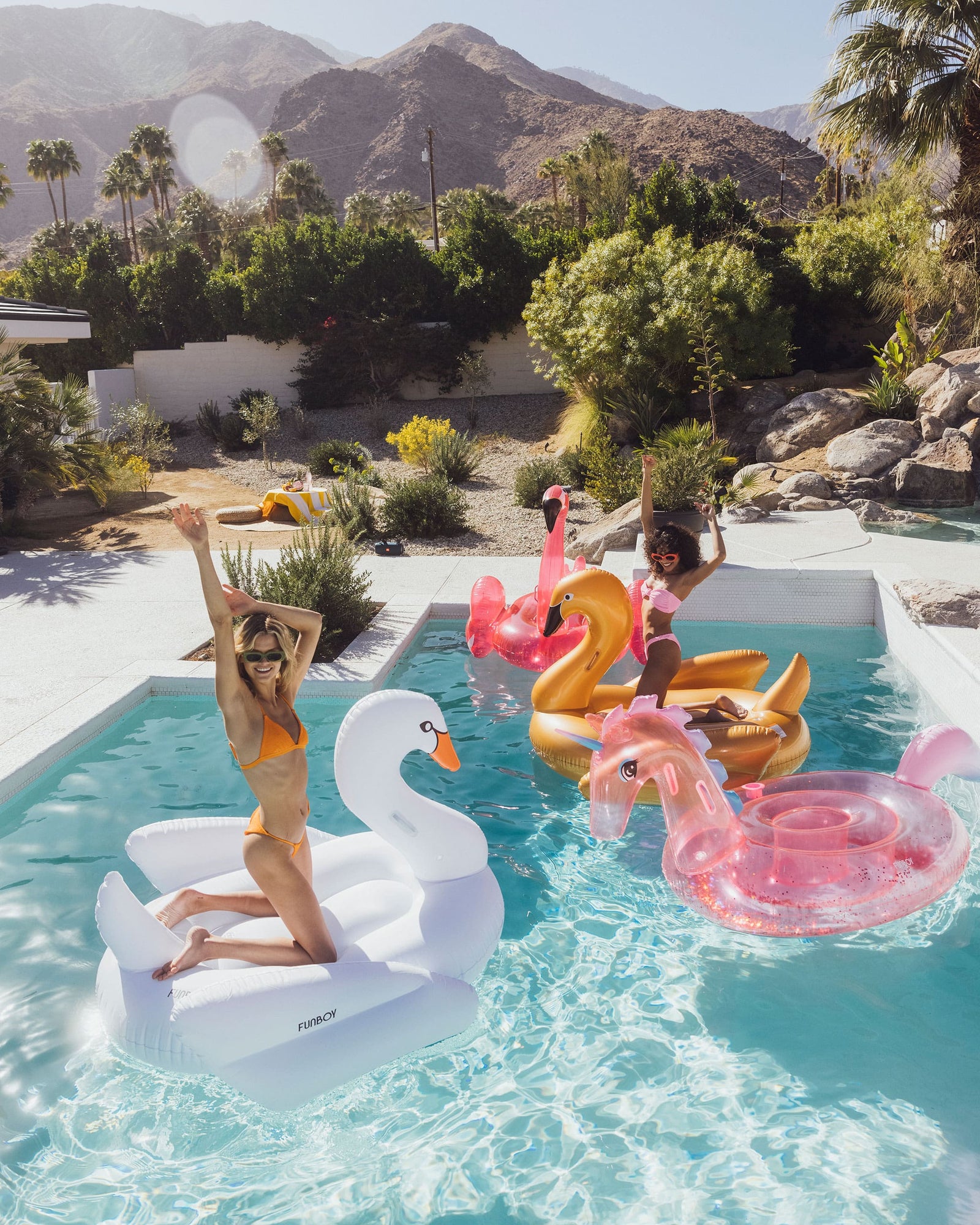 Swan Pool Float