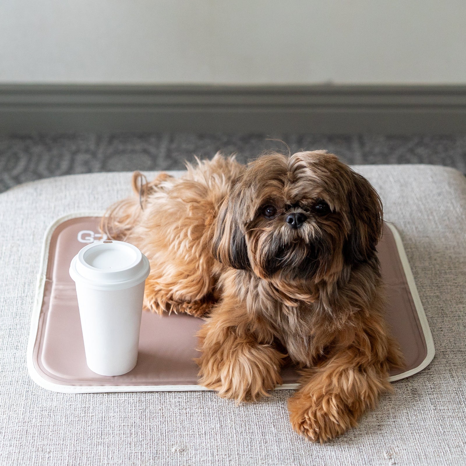 Cool Pet Pad