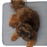 Thera-Pawz Warming Pad